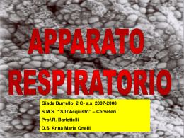 apparato_respiratorio_di_giada_burrello