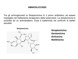 Streptomicina
