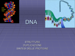 DNA - Liceo Foscarini
