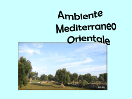 Clima_mediterraneo
