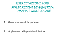 Applicazioni_delle_proteine_di_fusione