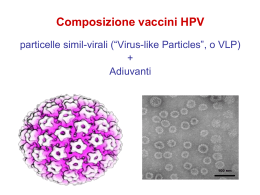 Vaccini HPV - Università degli Studi della Basilicata