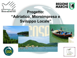 Progetto: “Adriatico, Microimpresa e Sviluppo Locale”