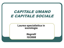 CAPITALE UMANO3 - Dipartimento di Sociologia