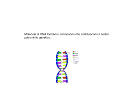 DNA e Mendel