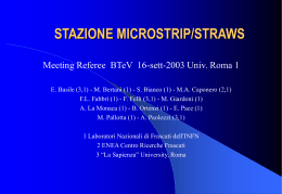 microstrip-straw tube interface - Laboratori Nazionali di Frascati