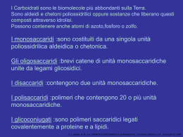 I monosaccaridi - FISIOTERAPIA