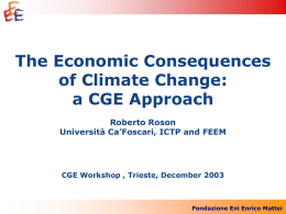 The Economic Consequences of Climate Change: a CGE