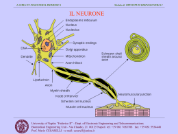 I Neuroni