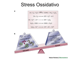 ppt Principi di Neuroscienze: Stress Ossidativo - Uninsubria