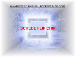 Schede Flip Chip