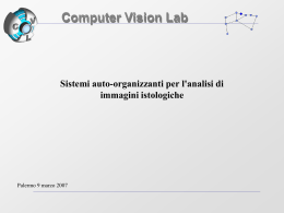 palermo - Computer Vision and Multimedia Lab