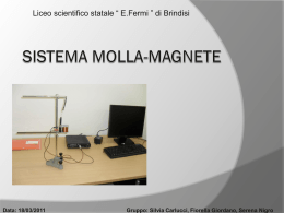 Sistema molla-Magnete - “E. De Giorgi” – Università del Salento