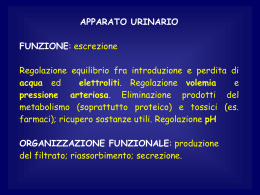 lezione cevese 11 (vnd.ms-powerpoint, it, 5139 KB, 1/10/12)