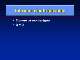 Fibroma-condromixoide - lerat