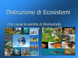 Distruzione di biodiversità