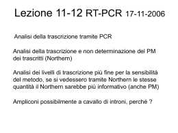 Lezione 11-12 17-11-2006 RT-PCR - Università degli Studi di Roma