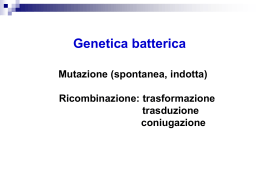 Genetica batterica