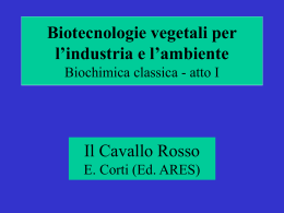 Biochimica classica atto I (ovverosia le basi)