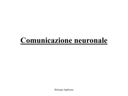 Comunicazione_neuronale