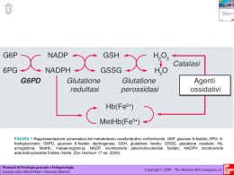 Carenza di glucosio-6-fosfato deidrogenasi