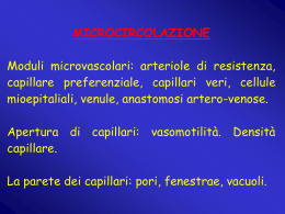 n° 13 - circolazione 6 (vnd.ms-powerpoint, it, 480 KB, 12/19/02)