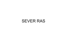 SEVER RAS - Marvasis