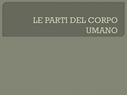 LE PARTI DEL CORPO UMANO_prima parte