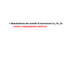 lezione-SNU-1 metalli Fe