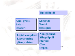 lipidi-3-ba