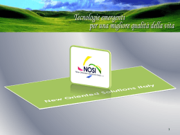 NOSI - New Oriented Solutions Italy srl