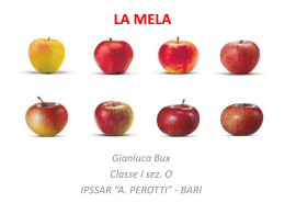 "LA MELA" di Gianluca Bux - 1^O