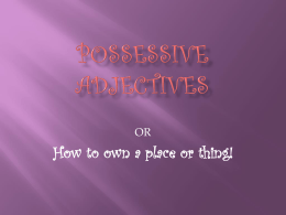 Possessive adjectives tells us who is the owner of a