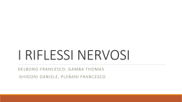 I RIFLESSI NERVOSI - Generazione Web Antonietti