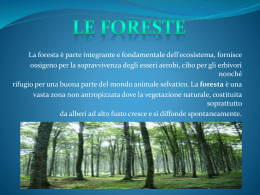FORESTE - Istituto Comprensivo Raffaello Sanzio