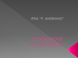 COGESTIONE 2013