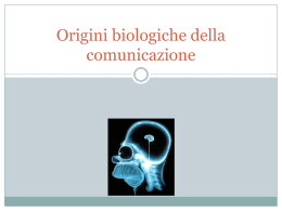 Origini biologiche della comunicazione