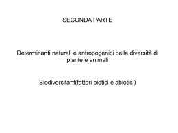 Slide 1 - Lorenzo Marini