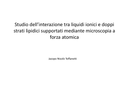 Studio dell*interazione tra liquidi ionici e doppi strati lipidici