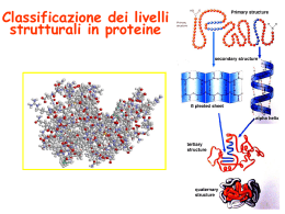 Classificazione dei livelli strutturali in proteine