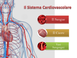 presentazione sul sistema cardiovascolare
