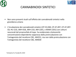 Diapositiva 1 - Centro Bioetica