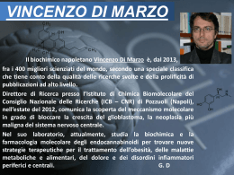 04_Vincenzo Di Marzo