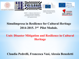 the final presentation of Disaster mitigation and resilience