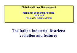 The Italian Industrial Districts: evolution and features