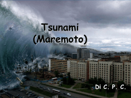 Tsunami di C. P. C. a.s. 2012-2013