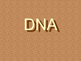 DNA - Istituto Trento 5