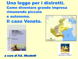 Distretti come strumento politico - TrevisoSystem