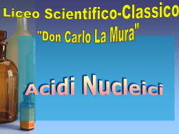 acidi_nucleici - IHMC Public Cmaps