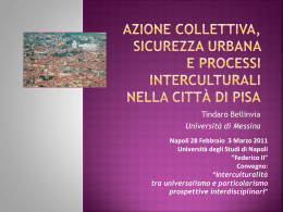 Azione collettiva, sicurezza urbana e processi interculturali nella